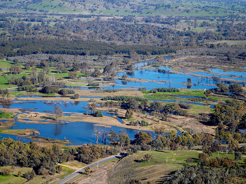 Wonga Wetlands