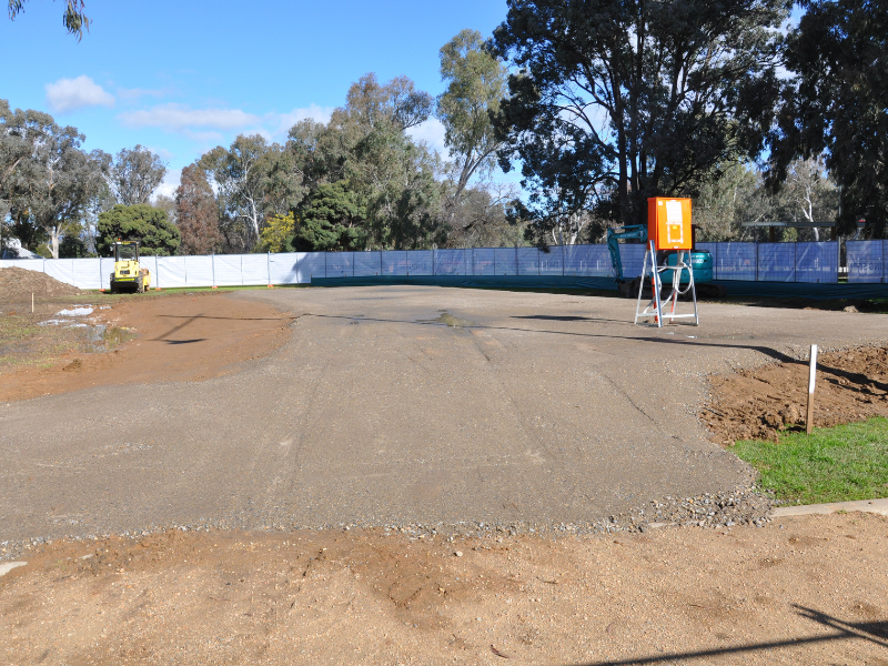 Hovell Tree 04-08