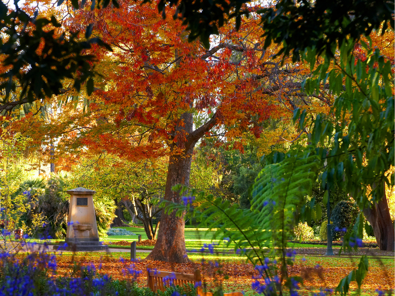 Advocacy strategy strengthens Council commitment to community vision | AlburyCity