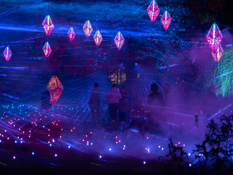 People walking through Aurora light show in botanic gardens at night