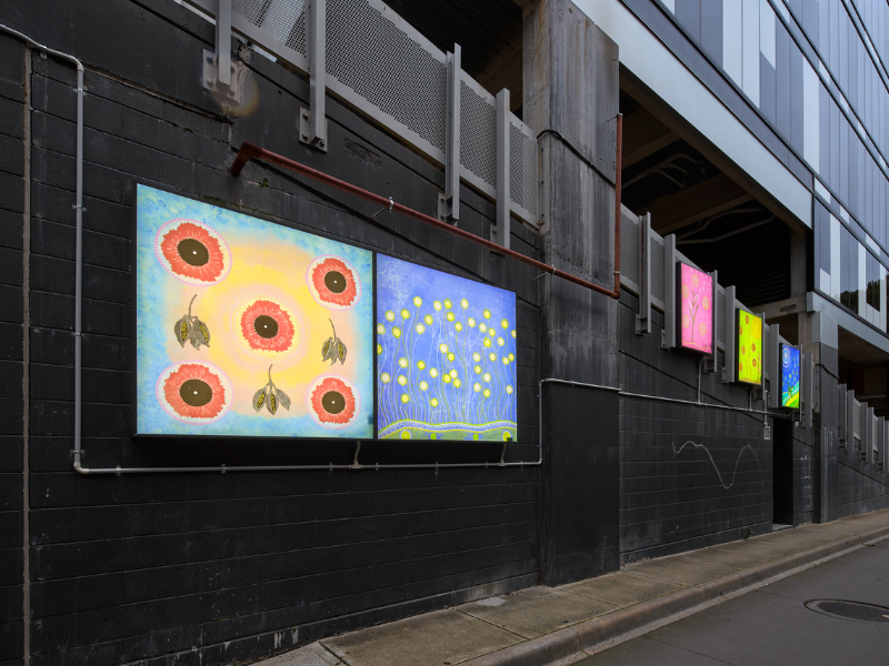 Installation view of Nan’s Bush Tucker Stories, by Patricia Cerminara