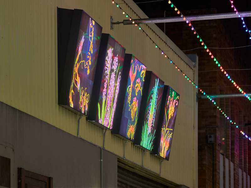 Neon flowers in four lit up lightboxes, by Robert Sherwood Duffield