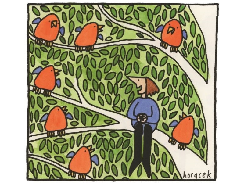 cartoon of woman in tree with birds