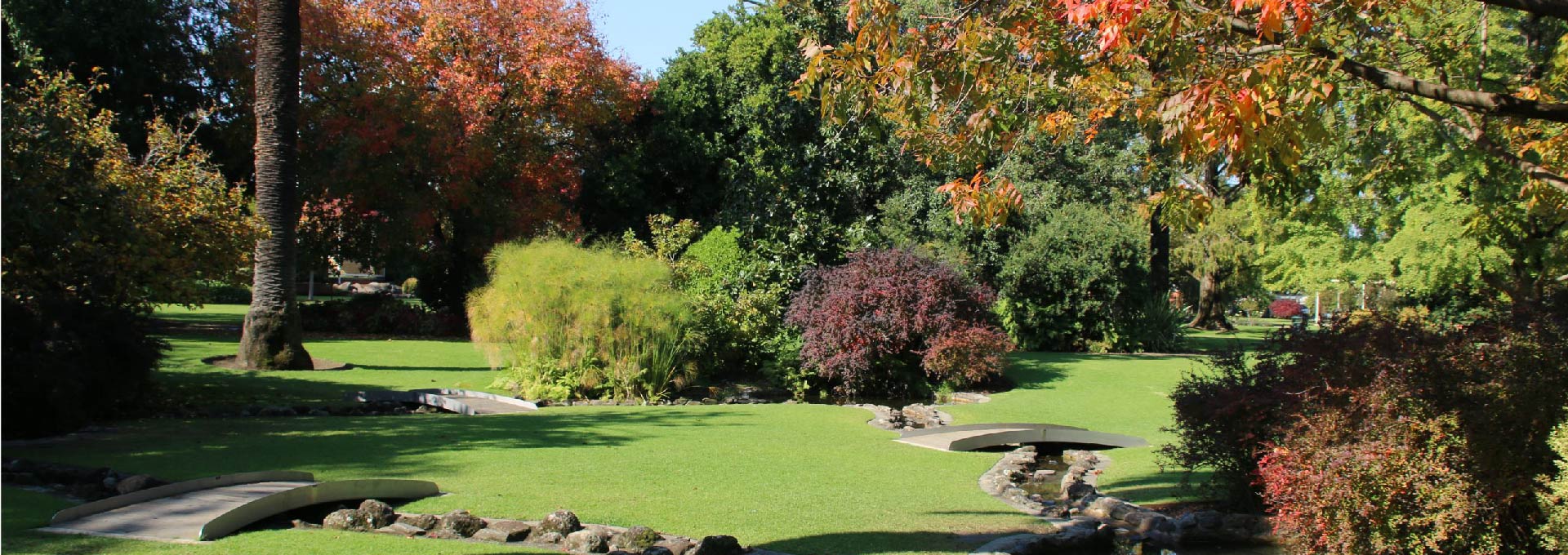 Albury Botanic Gardens