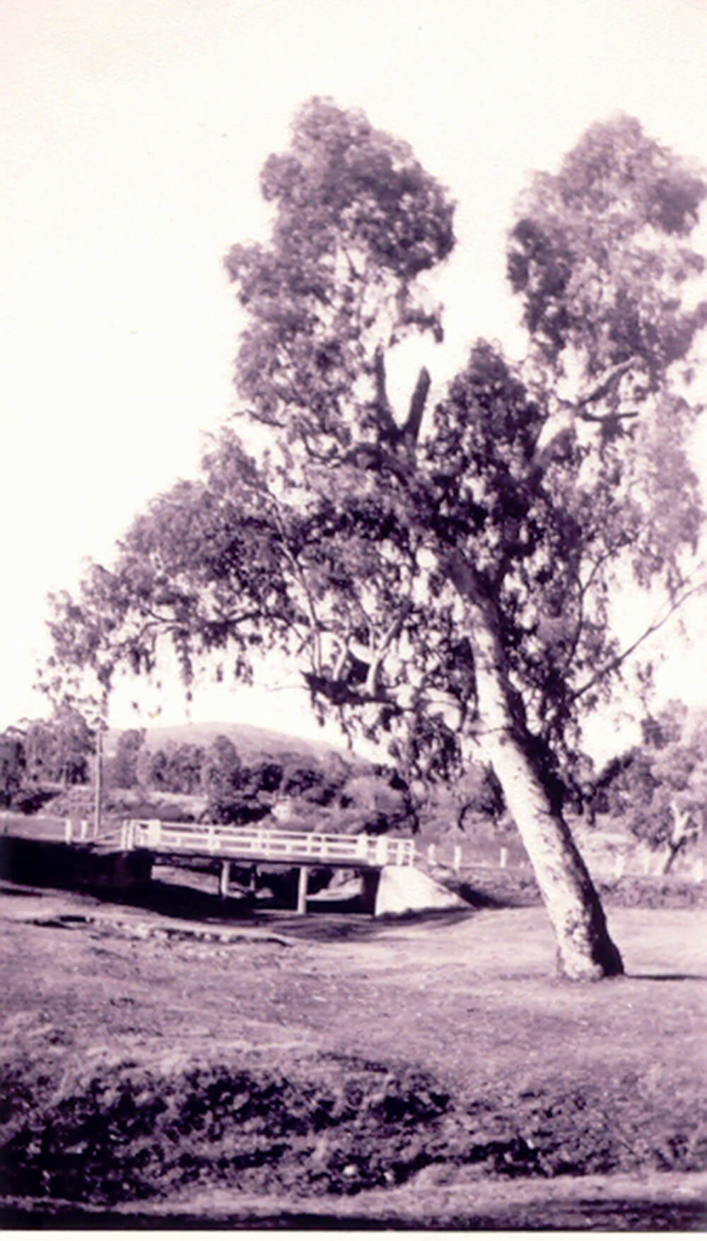 First bridge on Urana Road, 1931<br>
Image courtesy of Lavington & District Family History Society