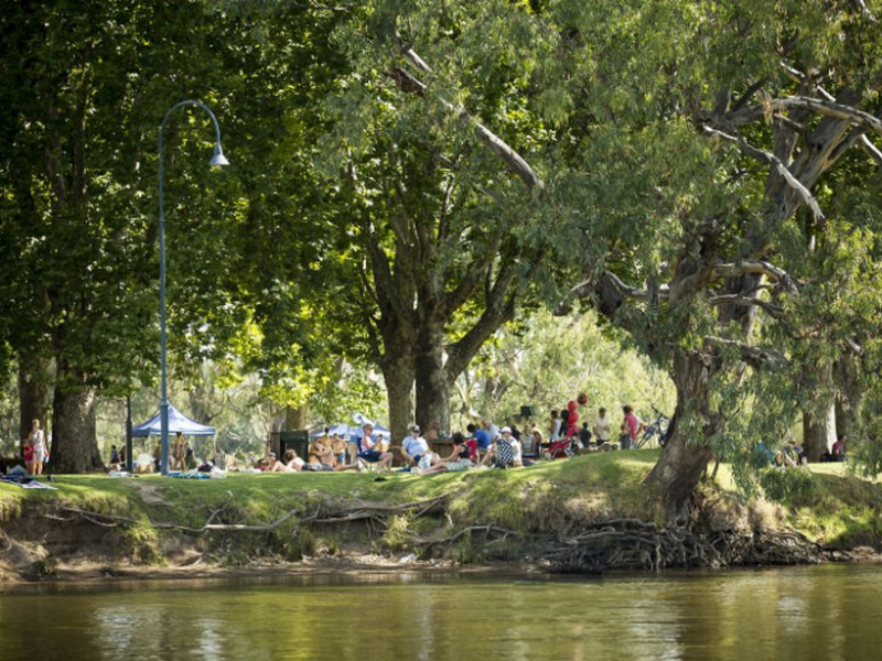 AlburyCity community and cultural grants provide boost to local projects | AlburyCity