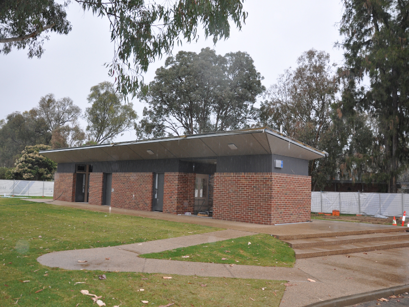 Hovell Tree 24-11a