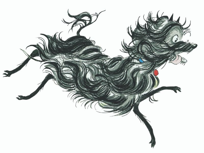 illustration of Hairy Maclary