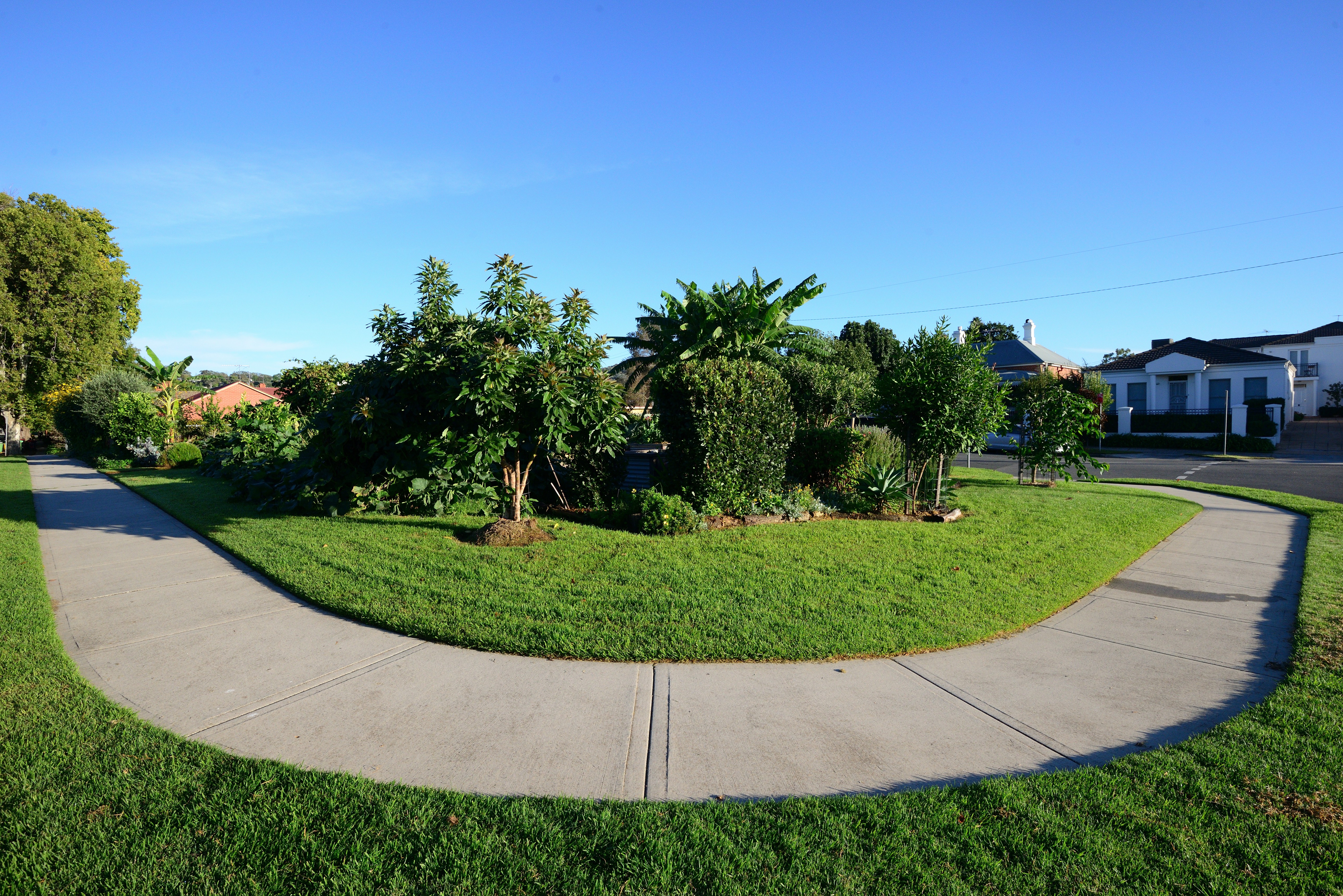 Exterior of Bungam Community Garden.  You can see see several fruit trees.