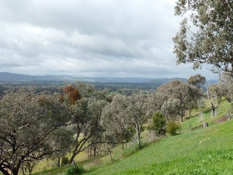 Side of a hill with bushland