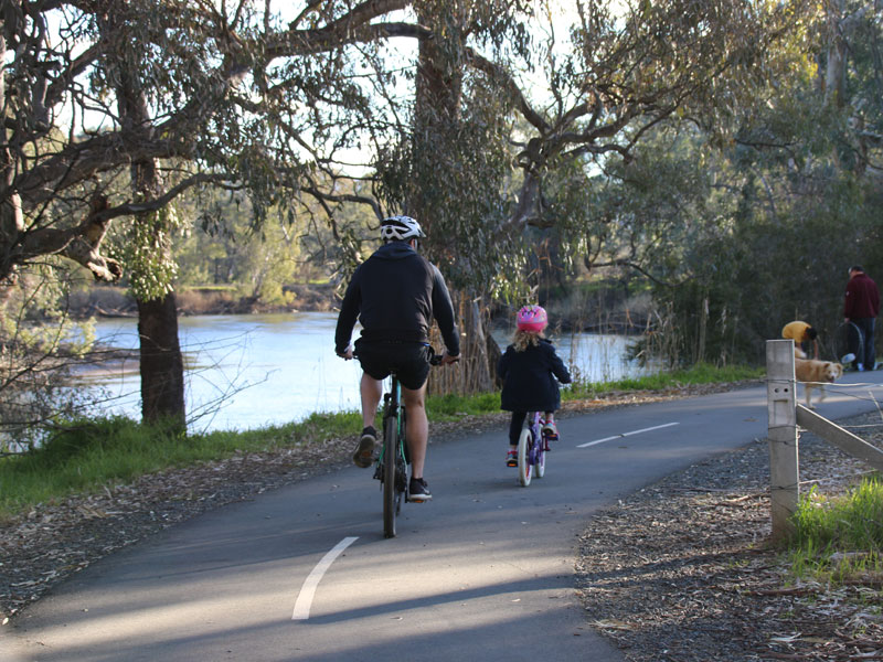 cyclists in wagirra trail