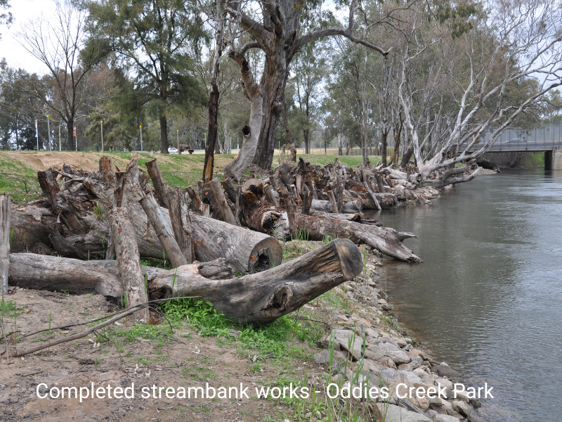 Streambank-Oddies Creek Park