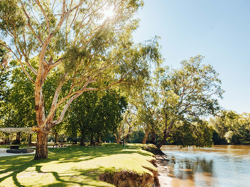 Albury 2050 reports