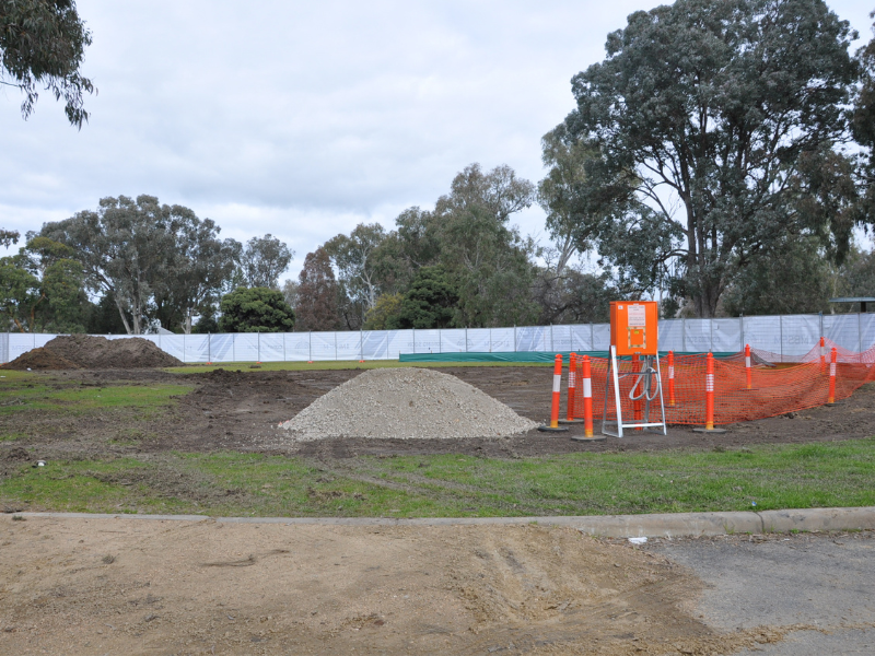 Hovell Tree 21-07