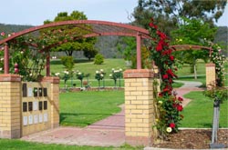 image of rose arbour at Glenmorus Gardens