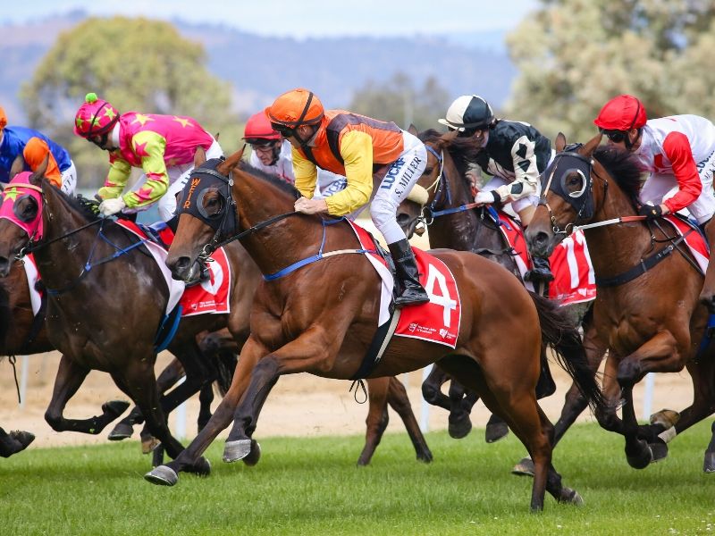 The NSW Government decides not to rescind the Albury Gold Cup half-day holiday