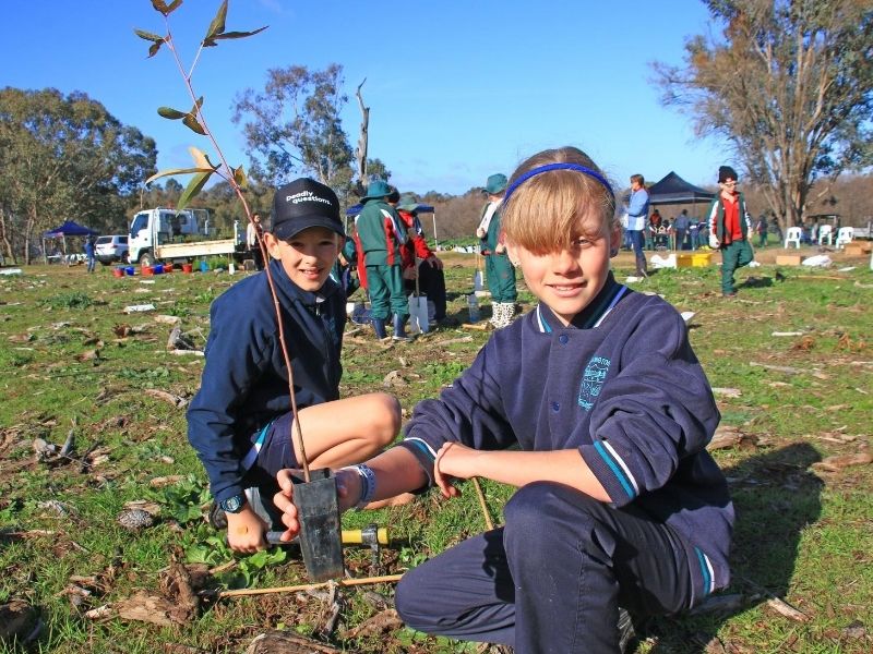 We're all urged to plant trees or shrubs at home this year as National Tree Day falls victim to COVID-19