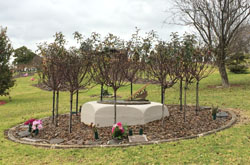 image of bronze sundial at Glenmorus Gardens