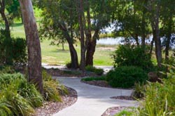 path and bushland at Glenmorus Gardens