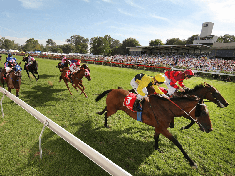 Albury Gold Cup Halfday Holiday Confirmed AlburyCity